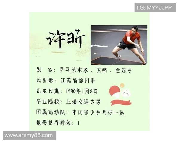 杭州乒乓球队总决赛背后的奋斗故事与荣耀时刻